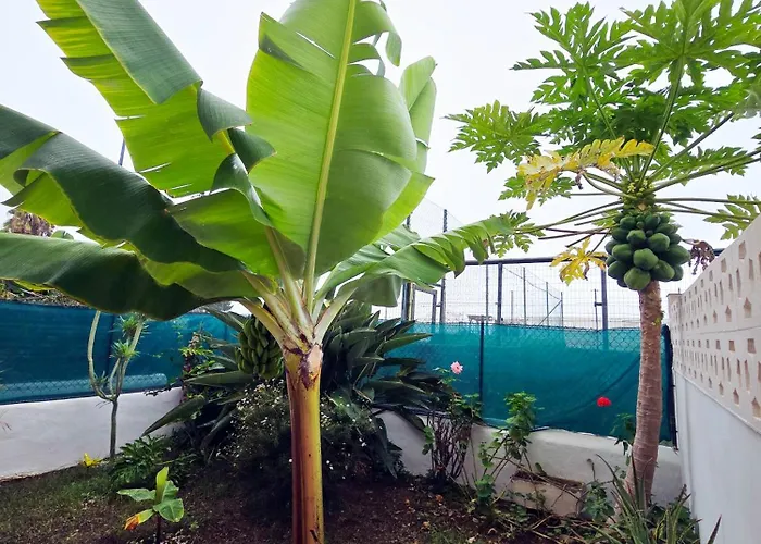 Aa Guest - Romantica Front Sea Views Eco Appartamento Los Realejos