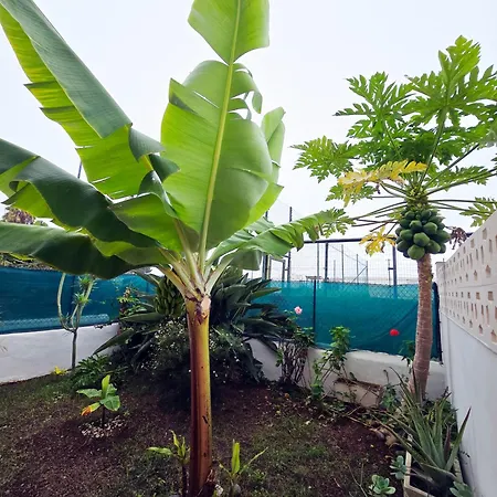 Aa Guest - Romantica Front Sea Views Eco アパート ロス・レアレホス