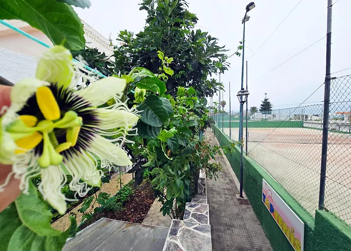 Apartment Aa Guest - Romantica Front Sea Views Eco *