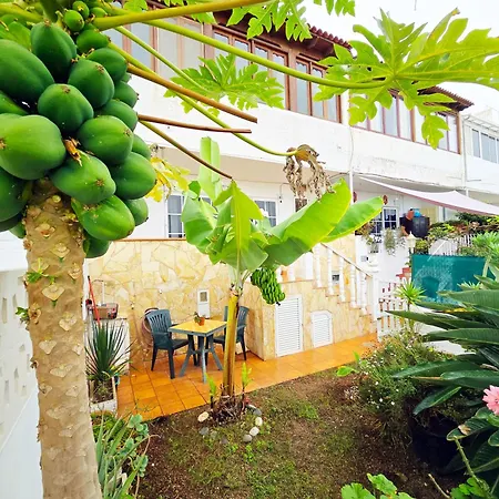 Aa Guest - Romantica Front Sea Views Eco * Los Realejos